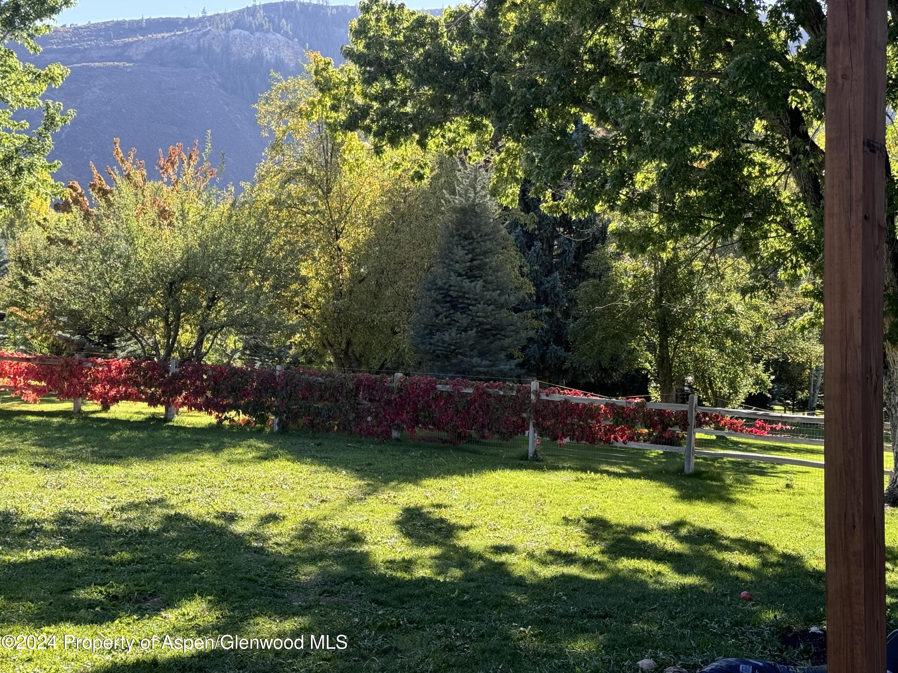 24 Cherry Lane Basalt, CO 81621 - Photo 19 of 42 a view of an outdoor space and swimming pool