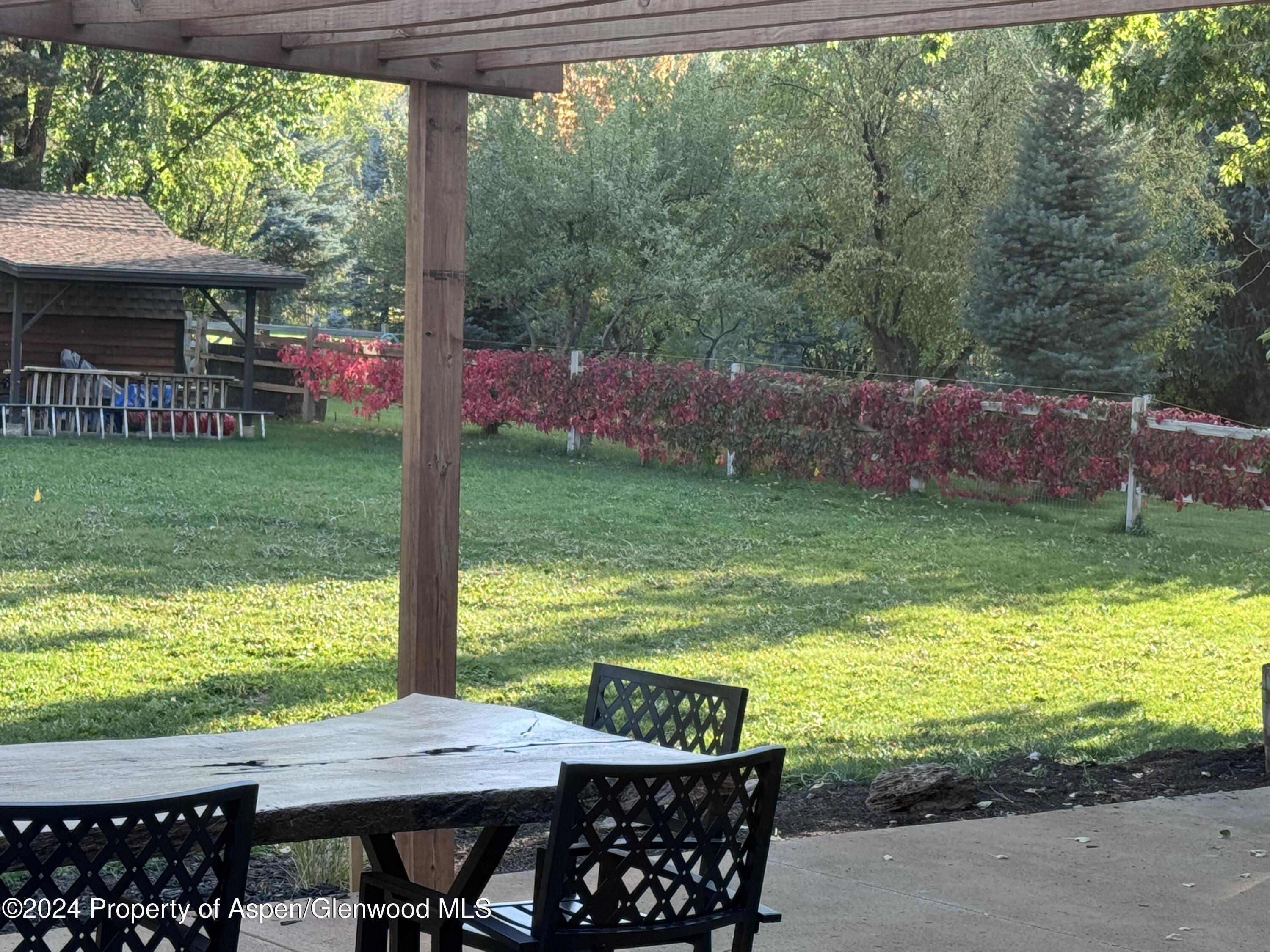 24 Cherry Lane Basalt, CO 81621 - Photo 39 of 42 a view of a big yard with furniture and garden