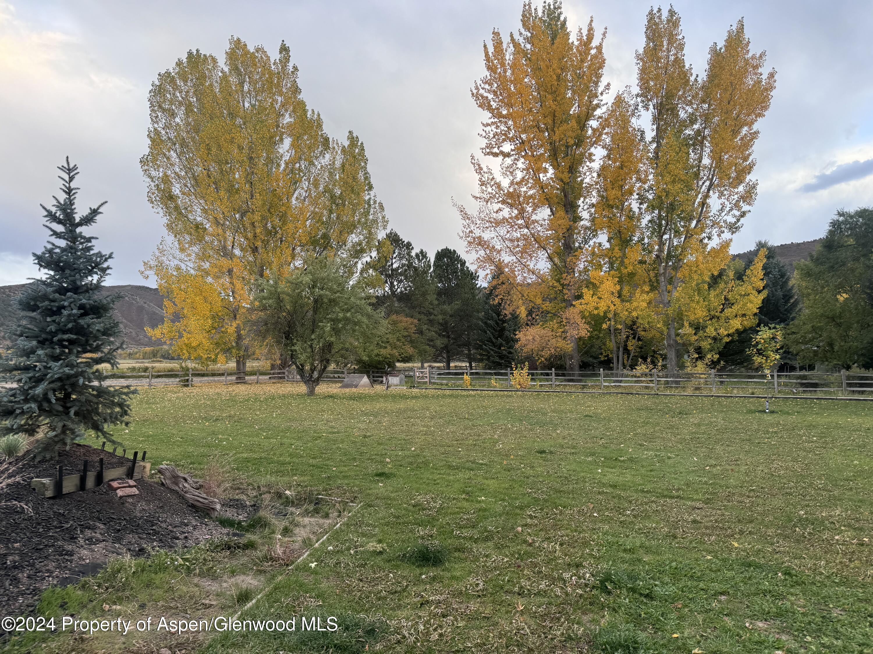24 Cherry Lane Basalt, CO 81621 - Photo 40 of 42 a view of field with trees in the background
