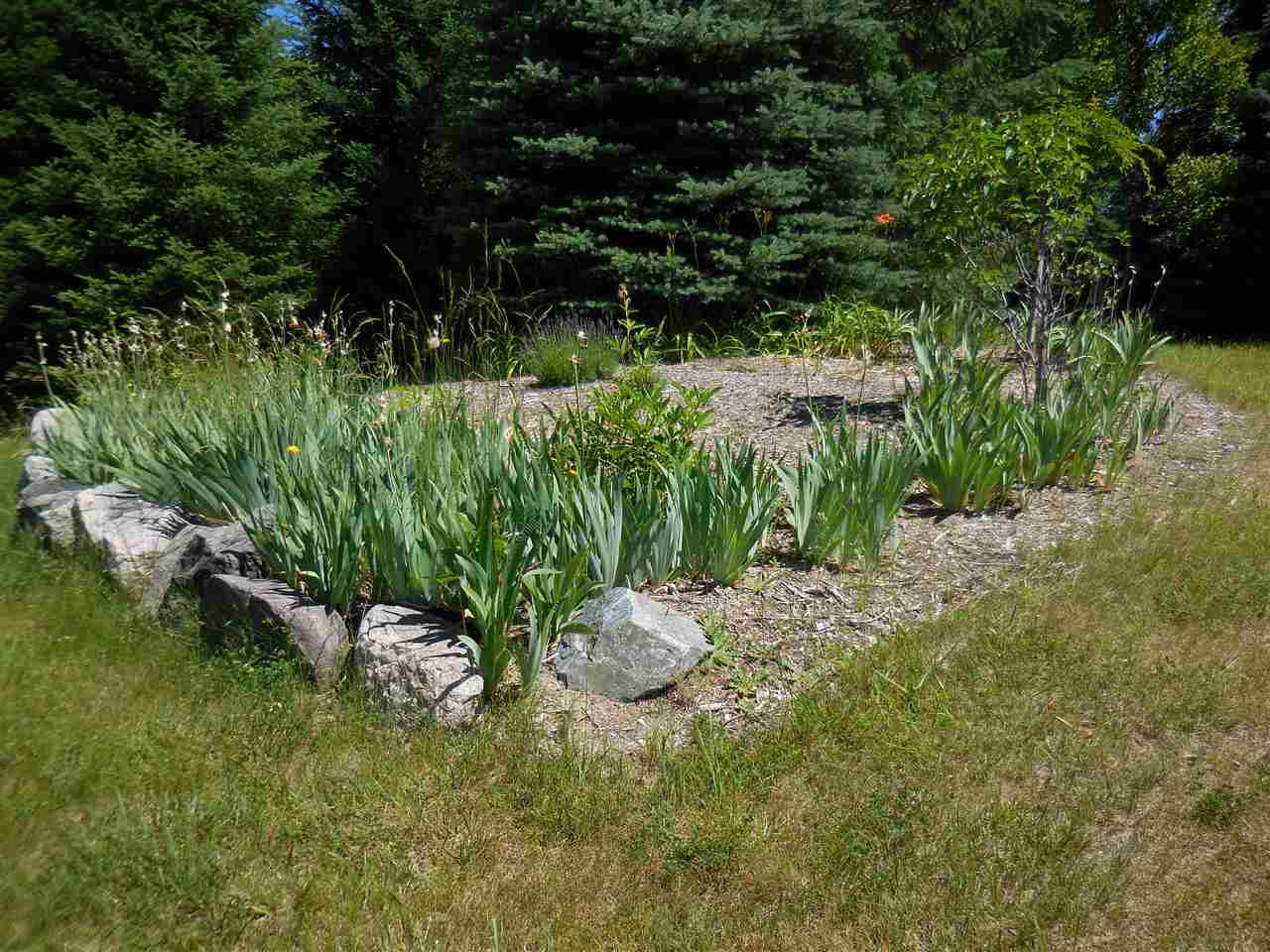 7660 Crisp Road Williamsburg, MI 49690 - Photo 30 of 39 1829045-29.JPG