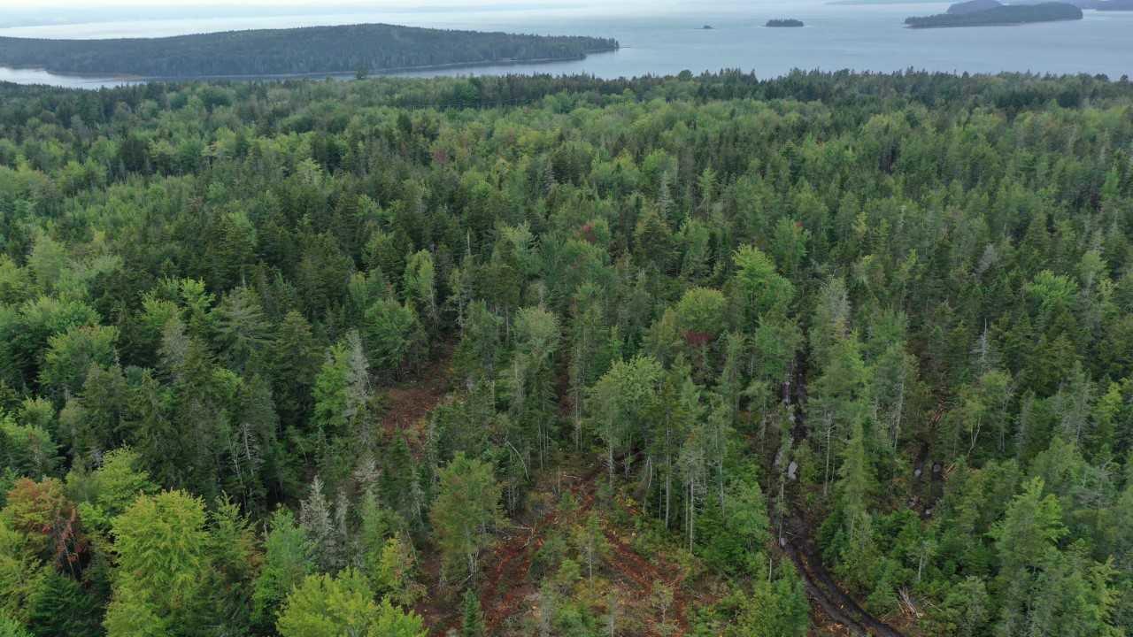 454 South Gouldsboro Road Gouldsboro, ME 04607 - Photo 27 of 35 download (3)