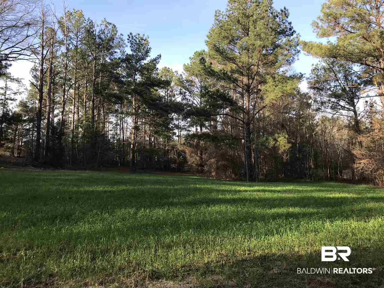 1478 Ridge Road Greenville, AL 36037 - Photo 3 of 50