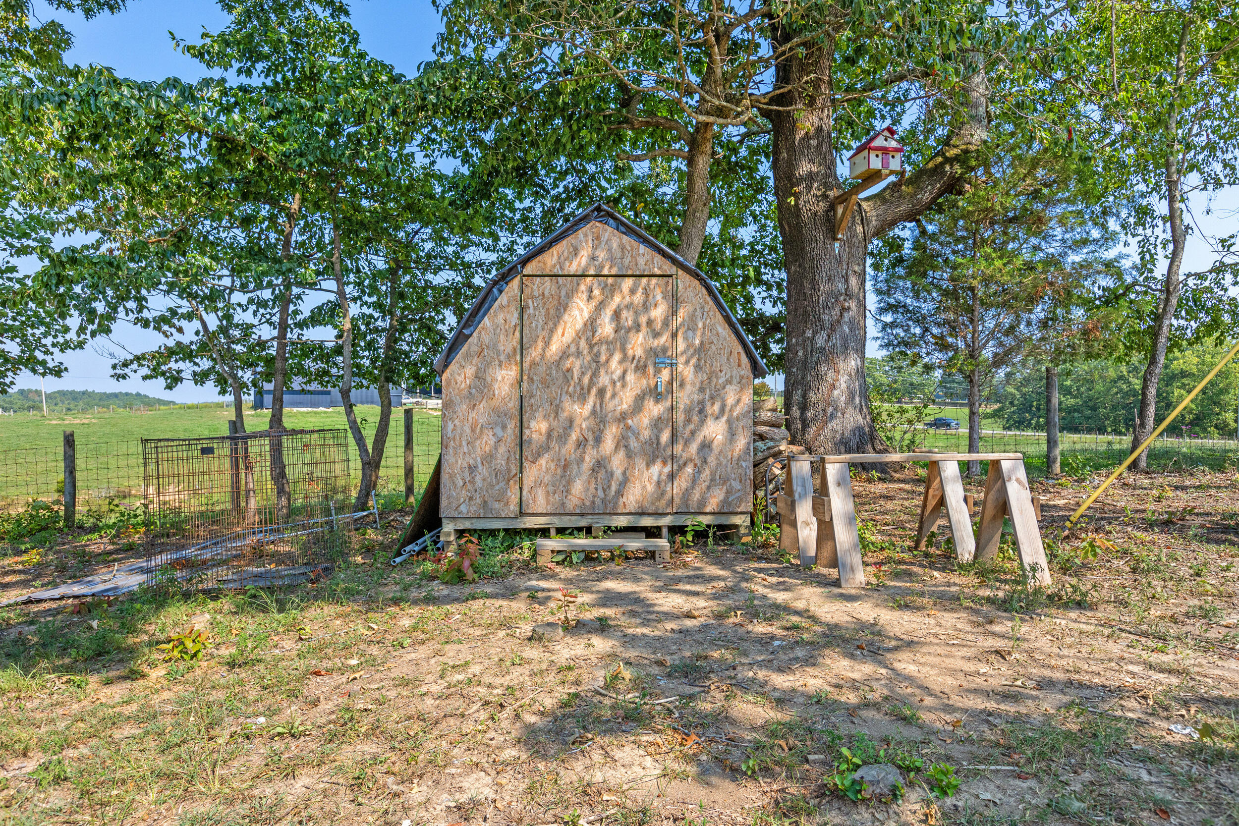 3249 Dan Ridge Road Wellington, KY 40387 - Photo 28 of 41 28_img_5627