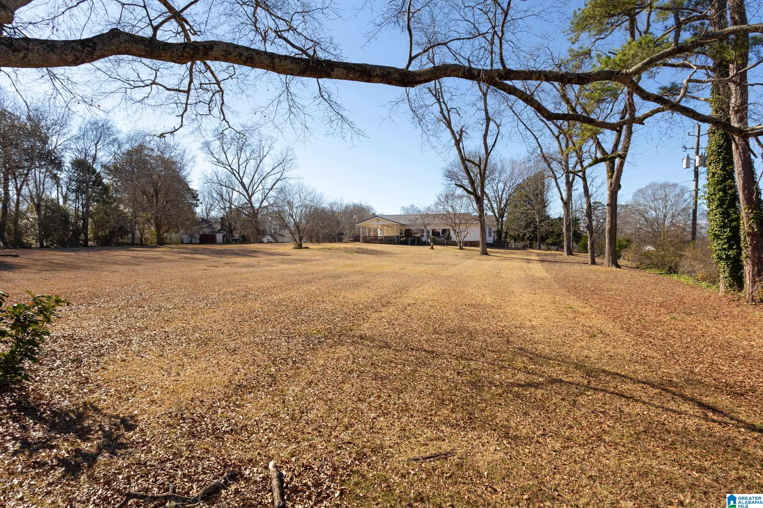 61 Chestnut Street Lincoln, AL 35096 - Photo 39 of 45