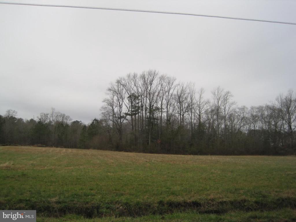 612 Sharps Point Road Fruitland, MD 21826 - Photo 1 of 3 Gallery Image 1