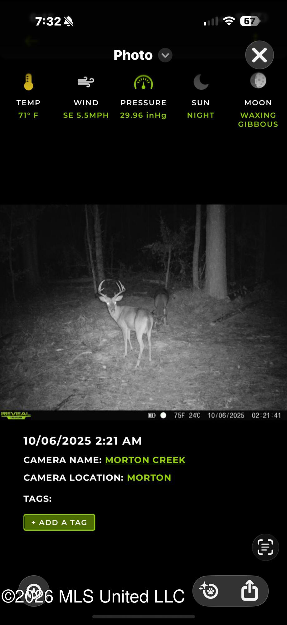 0 East Doc Clark Road Morton, MS 39117 - Photo 5 of 18 IMG_0450