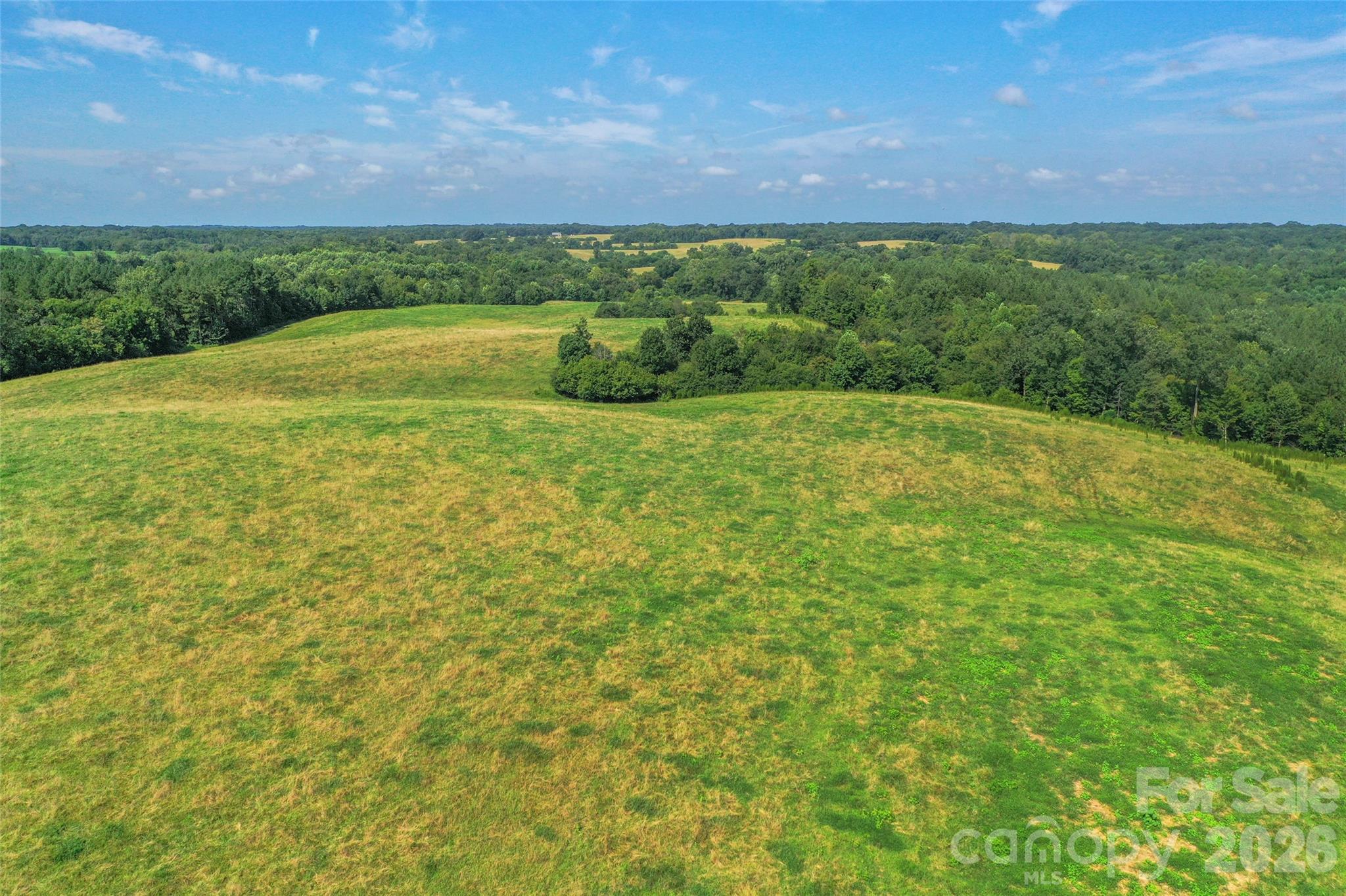 0 Lucy Short Cut Road, Unit C Marshville, NC 28103 - Photo 25 of 38