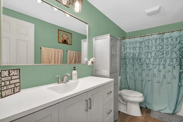 a bathroom with a sink a toilet and shower