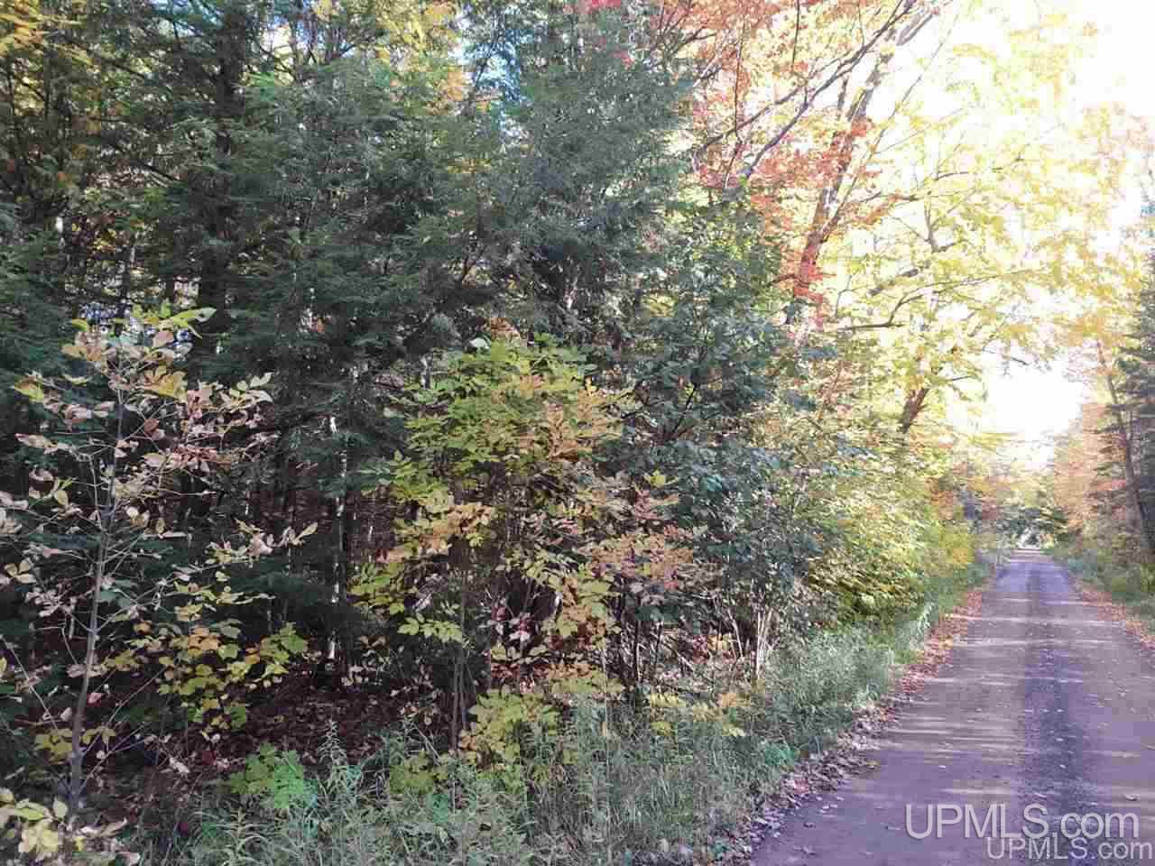 Tbd Four Mile Rock Road Ontonagon, MI 49953 - Photo 7 of 8