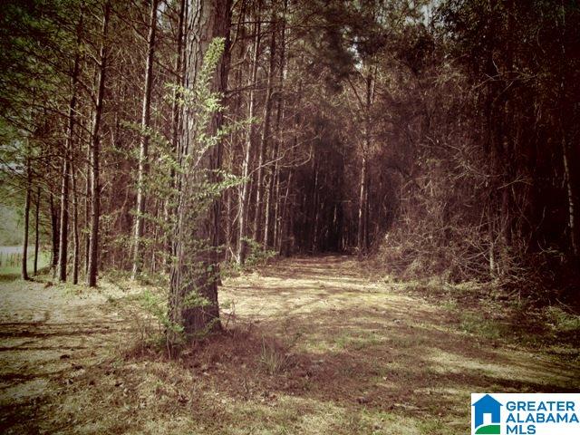229 County Road, Unit 29 Thorsby, AL 35171 - Photo 5 of 23