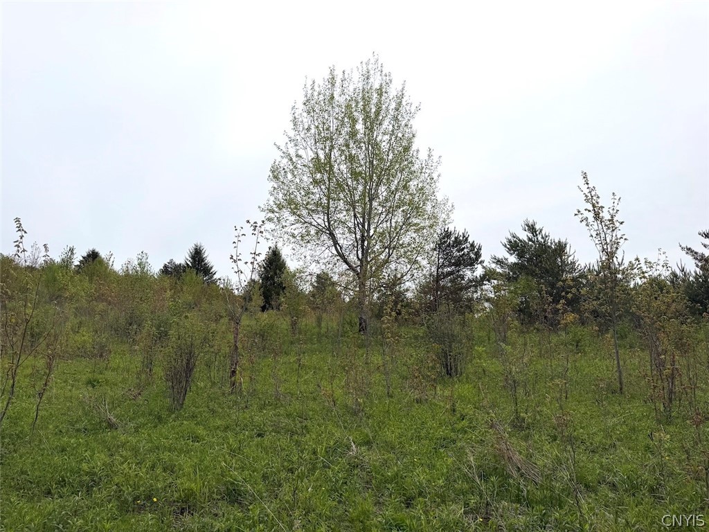 Reynolds Road Franklinville, NY 14737 - Photo 26 of 38