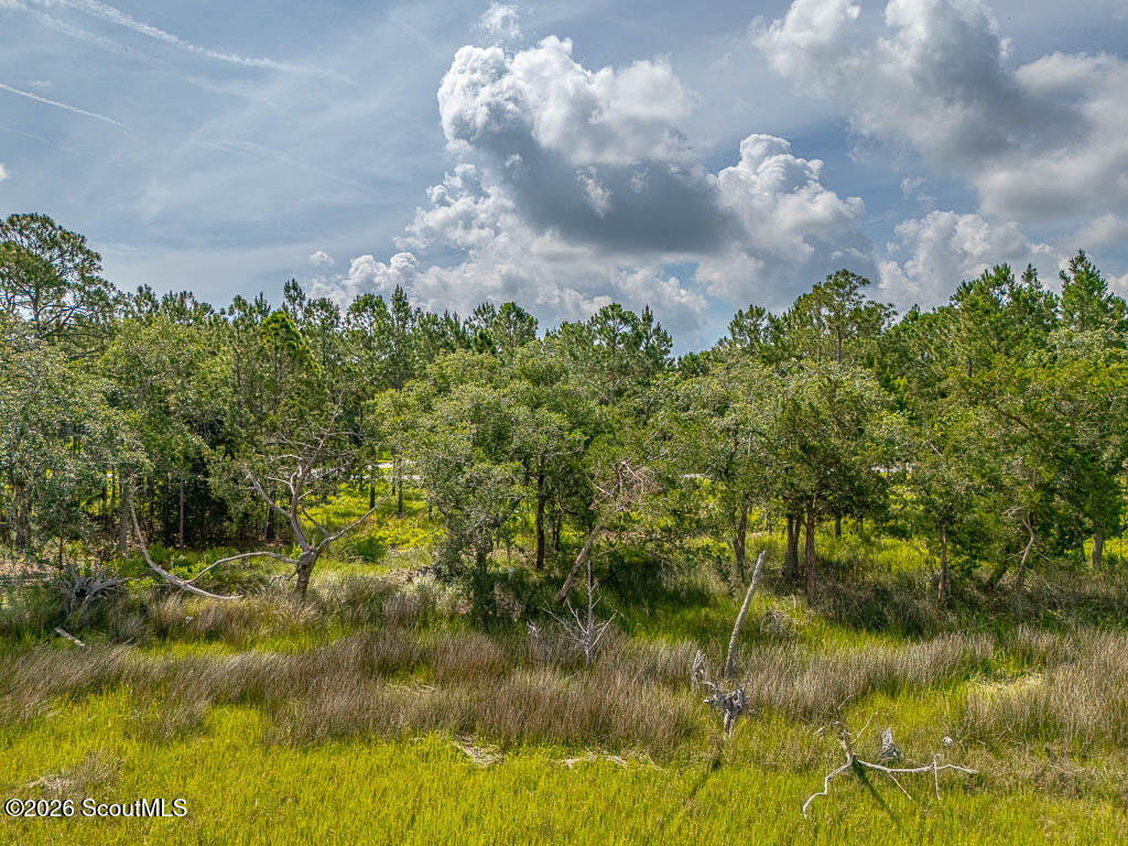 Lot 98 Wards Way Waverly, GA 31565 - Photo 18 of 20