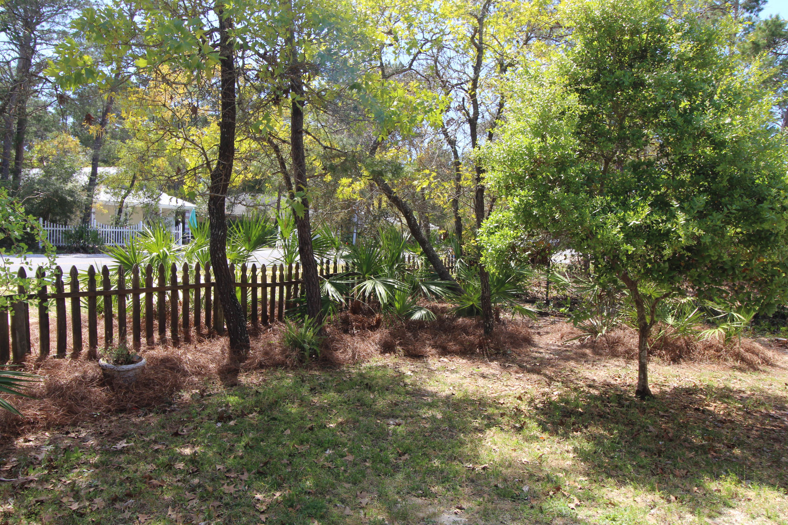 91 Walnut Street Santa Rosa Beach, FL 32459 - Photo 4 of 39 a view of a yard with large trees