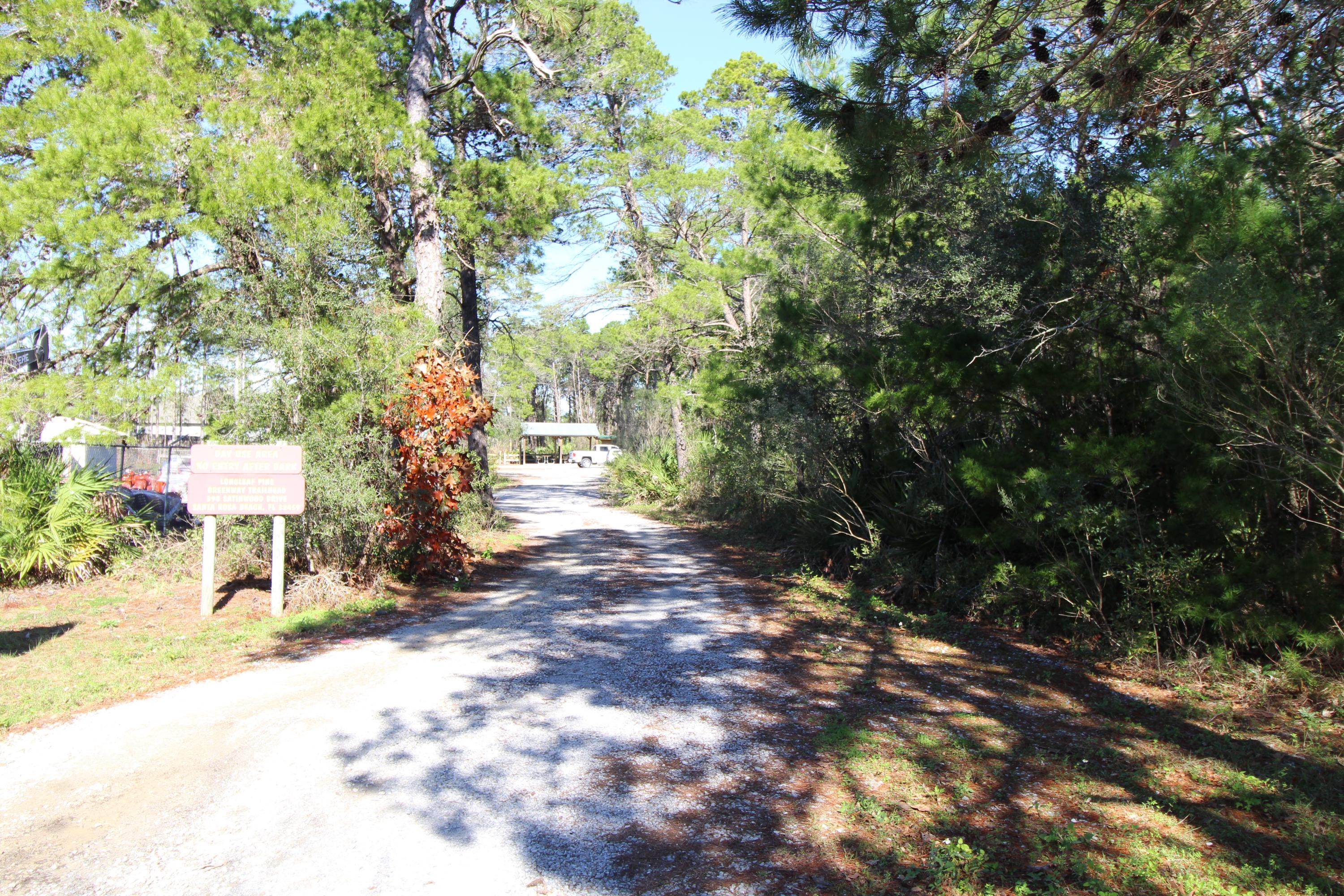 91 Walnut Street Santa Rosa Beach, FL 32459 - Photo 35 of 39 a view of a road with plants and trees