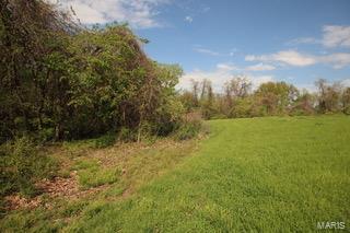 570 White Road Chesterfield, MO 63017 - Photo 2 of 4
