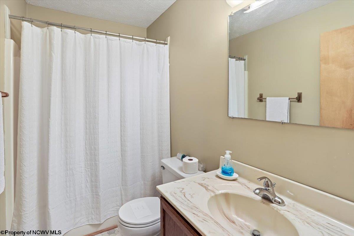 352 Ridge Road Davis, WV 26260 - Photo 26 of 47 Gallery Image 26