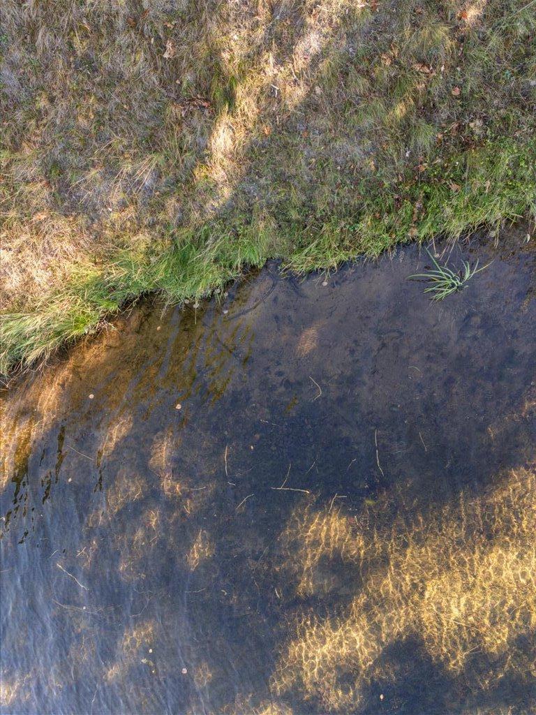 37639 Forest Lodge Road Crosslake, MN 56442 - Photo 10 of 20