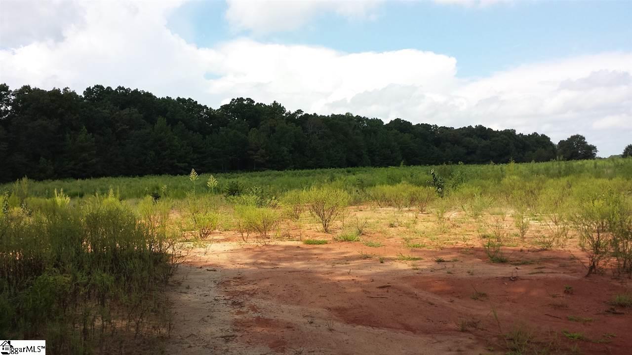 1040 Garrison Road, Unit LOT 2 Pelzer, SC 29669 - Photo 1 of 3