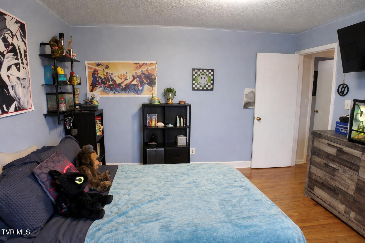 361 Springfield Drive Bristol, TN 37620 - Photo 15 of 26 Bedroom 2