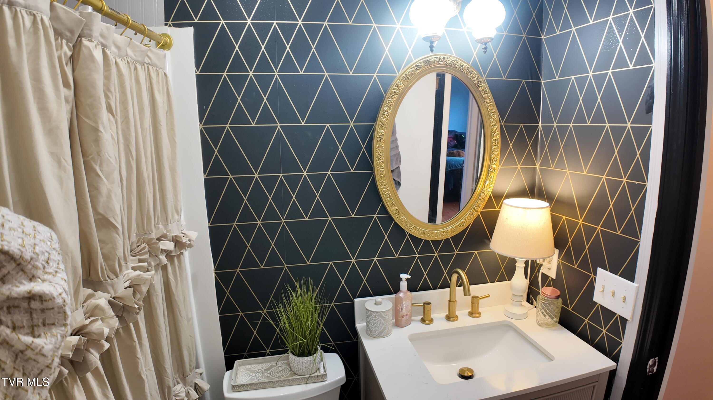 361 Springfield Drive Bristol, TN 37620 - Photo 17 of 26 Full Bath