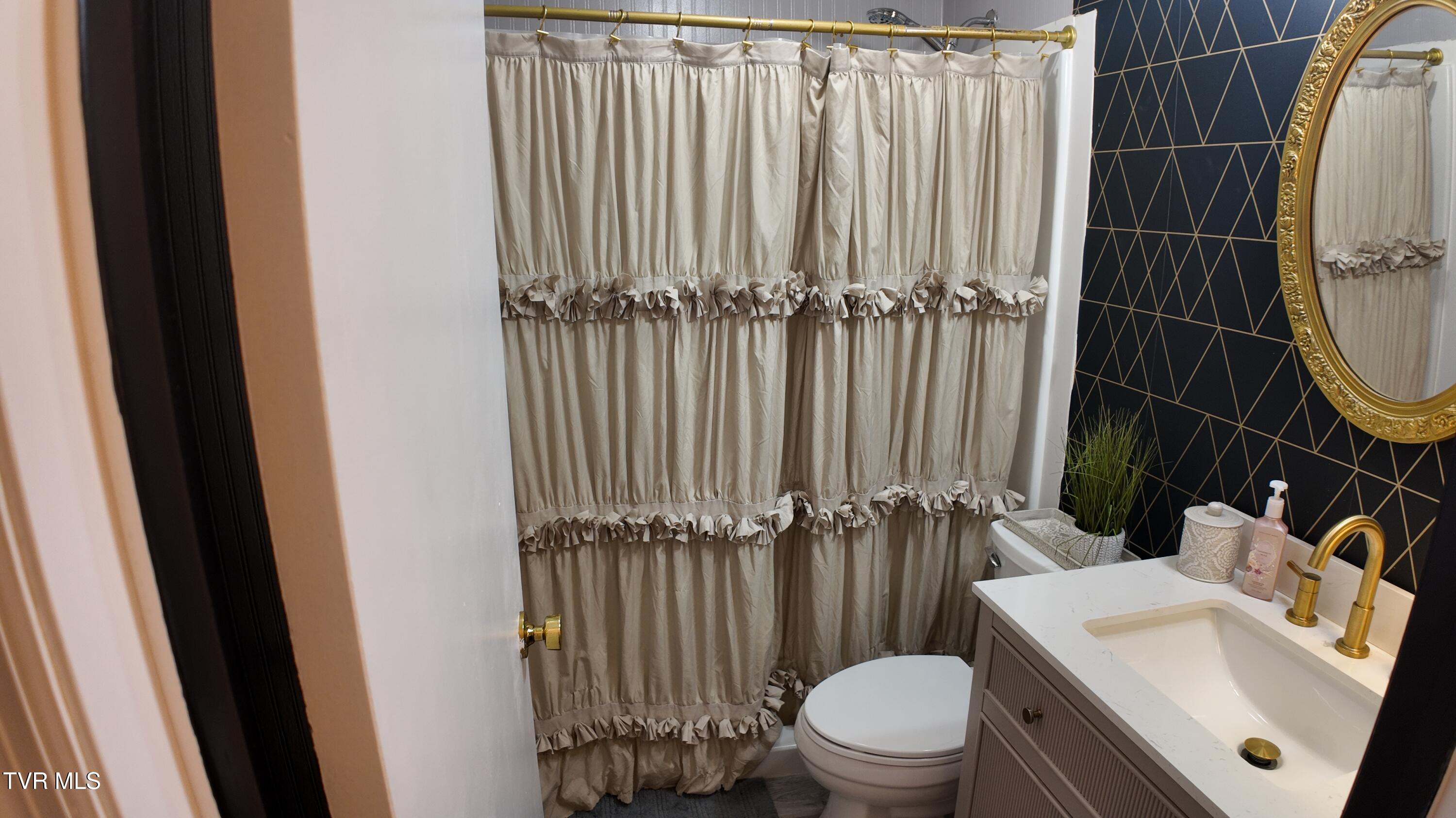 361 Springfield Drive Bristol, TN 37620 - Photo 18 of 26 Full Bath