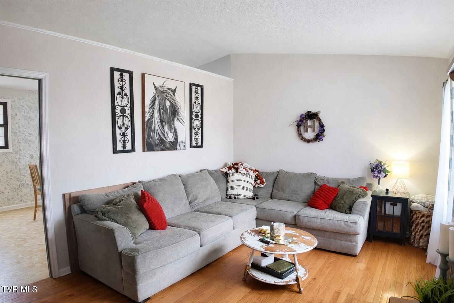 361 Springfield Drive Bristol, TN 37620 - Photo 3 of 26 living room bristol