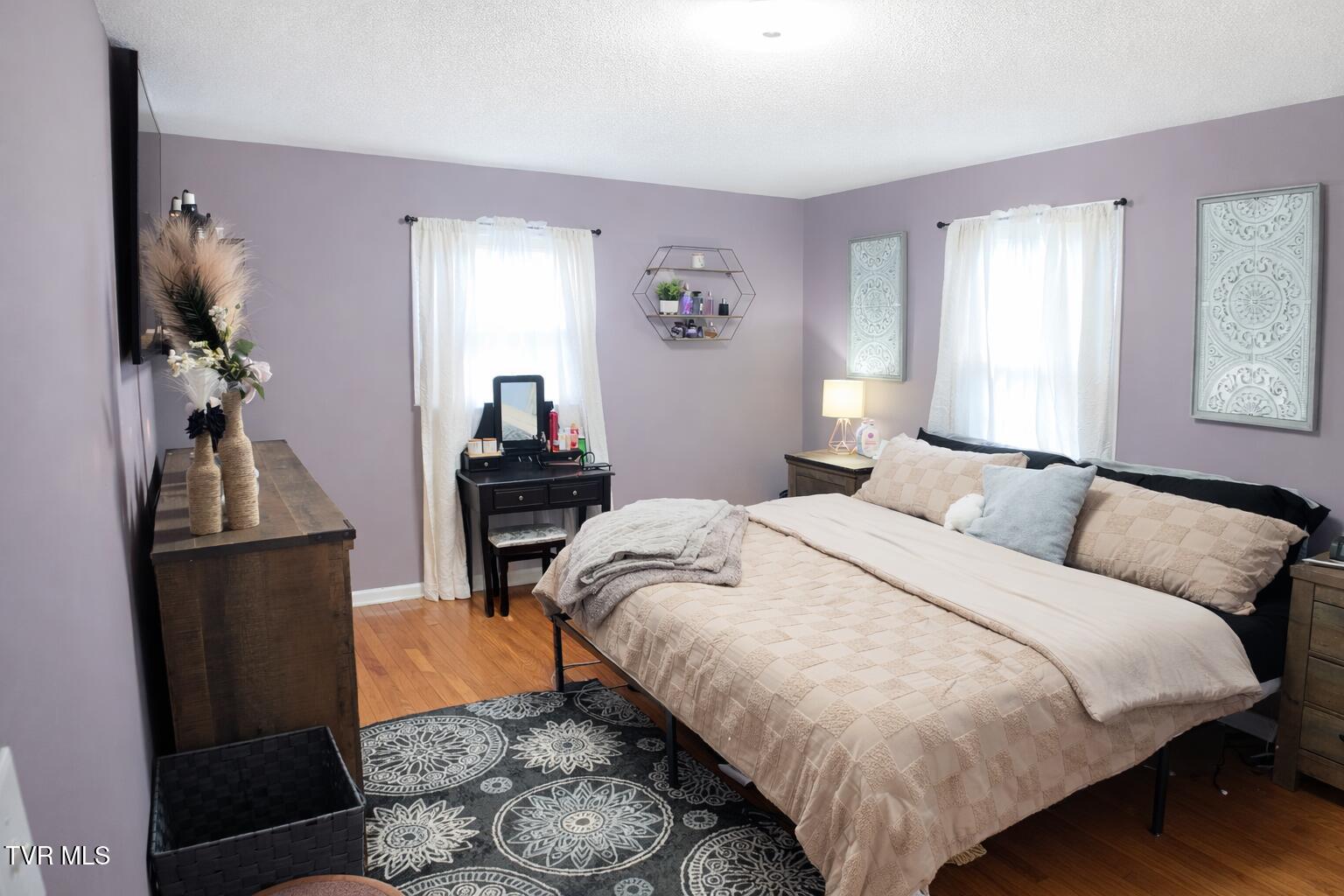 361 Springfield Drive Bristol, TN 37620 - Photo 10 of 26 Master Bedroom