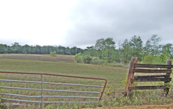 $99,000 | 0 Express Road, Grand Ridge, FL 32442