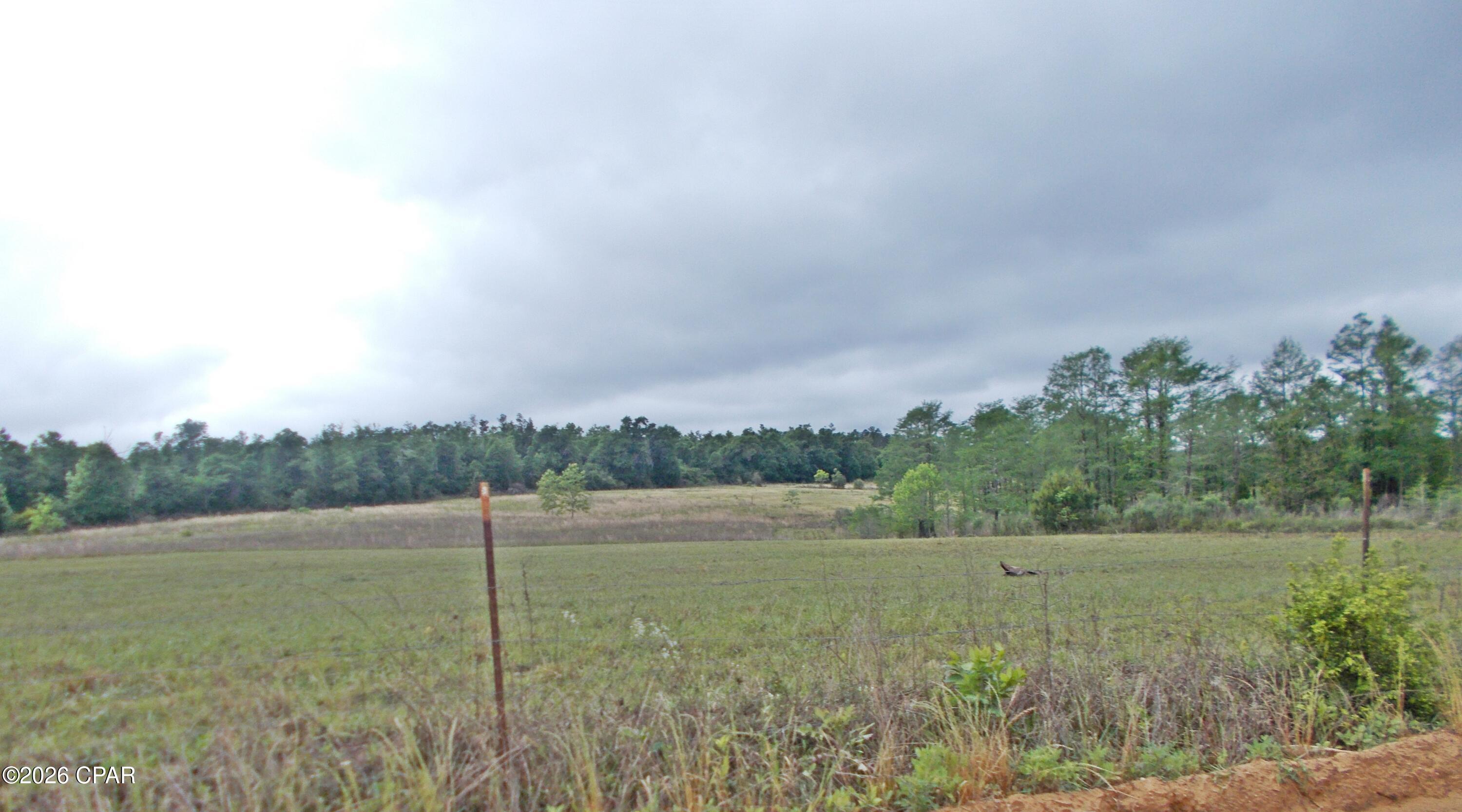 0 Express Road Grand Ridge, FL 32442 - Photo 2 of 8