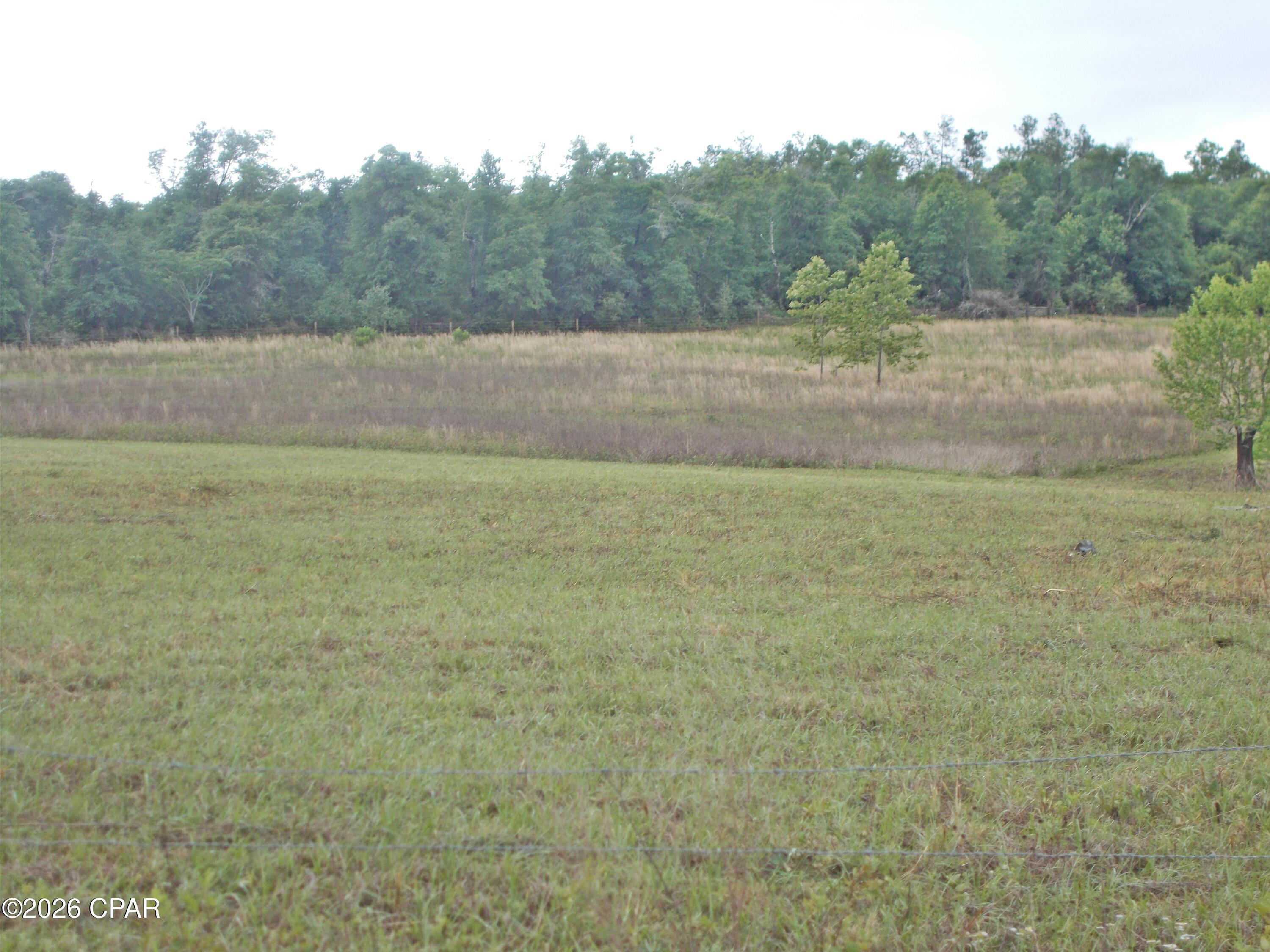 0 Express Road Grand Ridge, FL 32442 - Photo 4 of 8