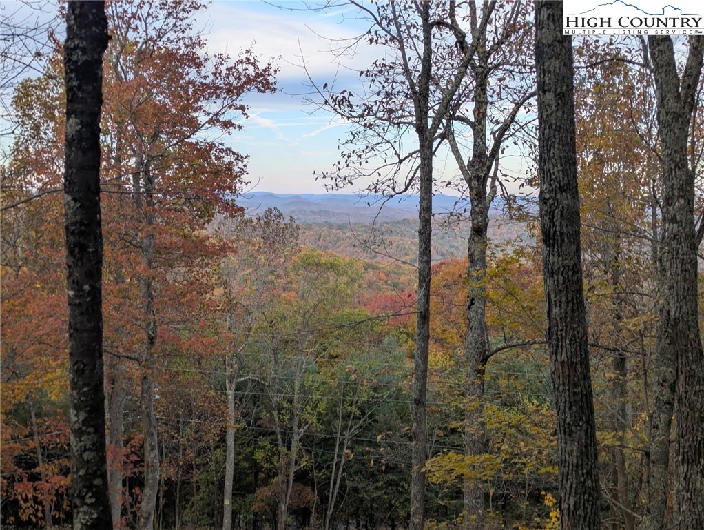 3043 Junaluska Road Boone, NC 28607 - Photo 4 of 49 a view of a forest