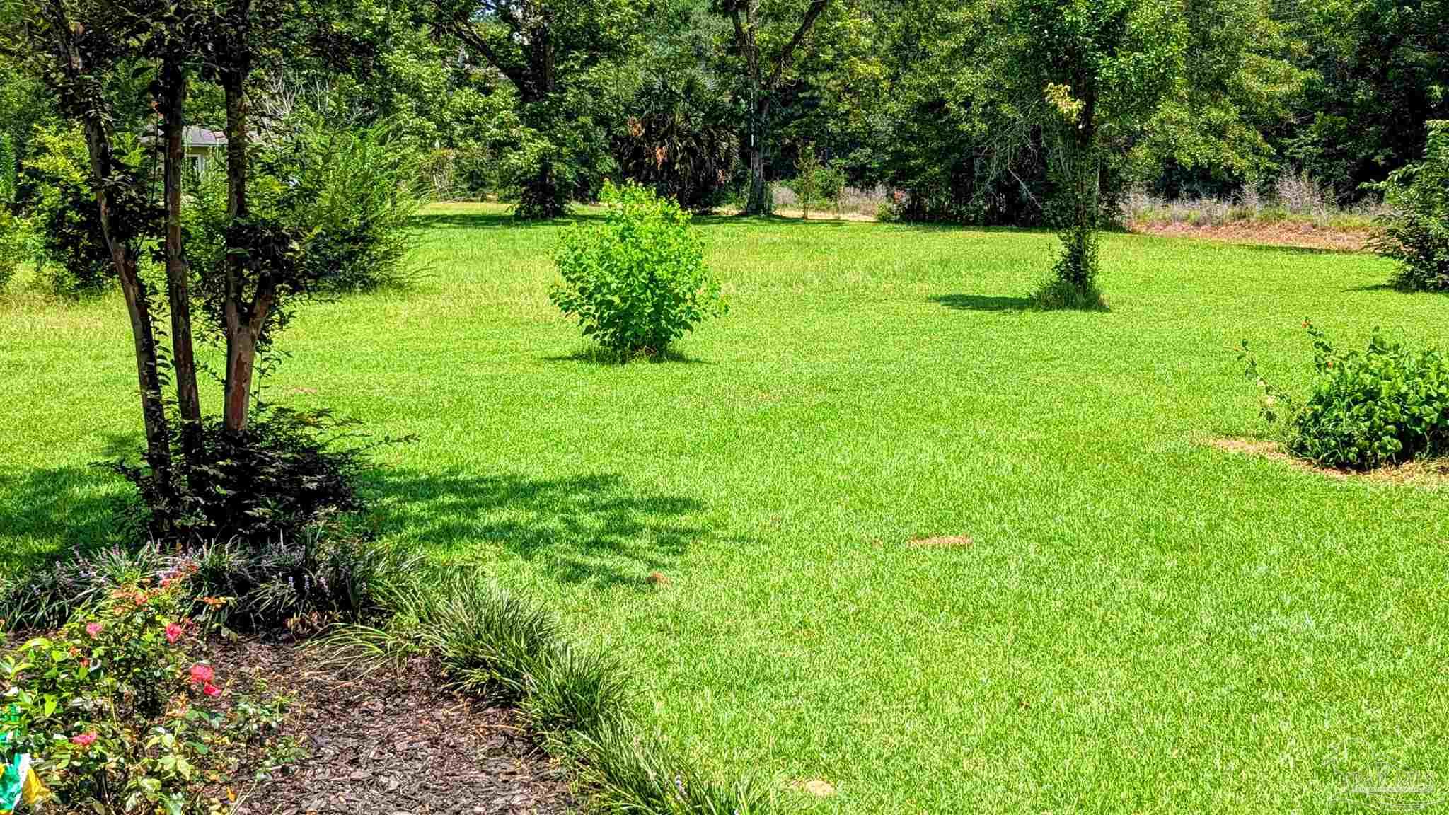 2770 Millry Buckatunna Road Millry, AL 36558 - Photo 62 of 62
