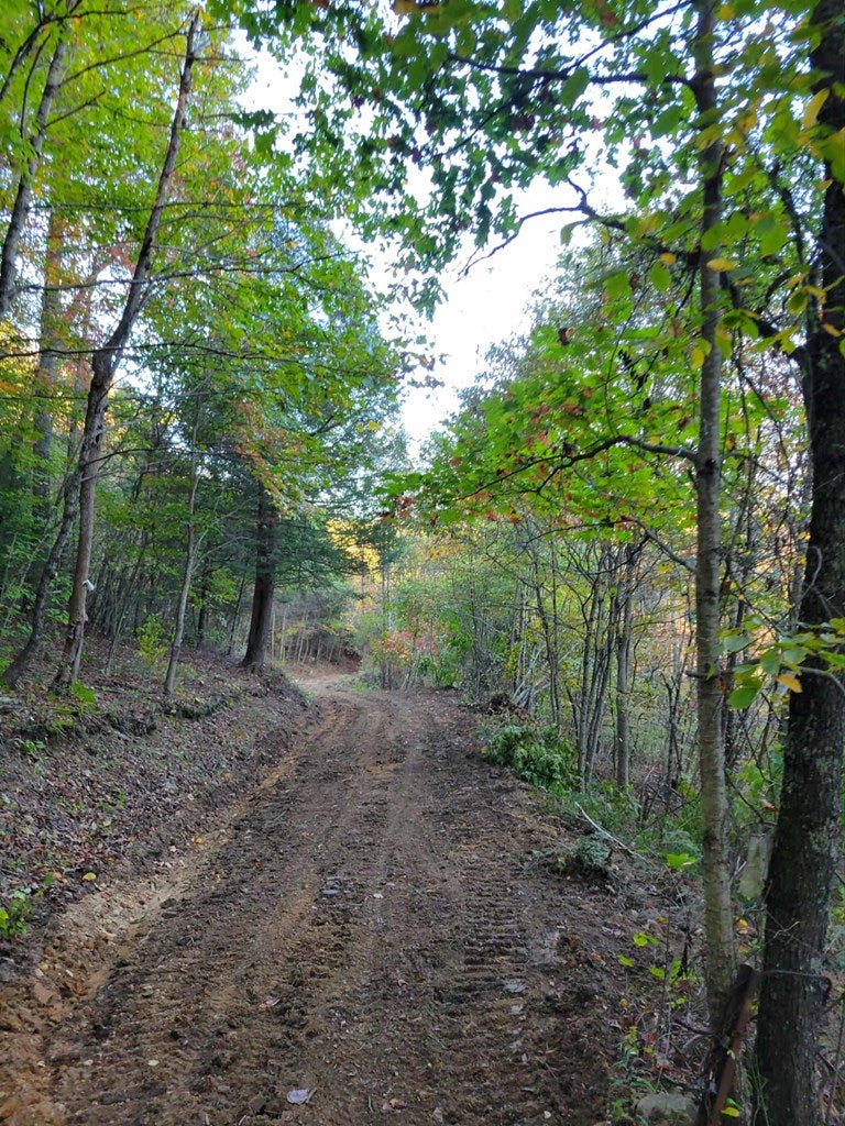 0 Hurricane Ridge Road Charmco, WV 25958 - Photo 15 of 18 Gallery Image 15