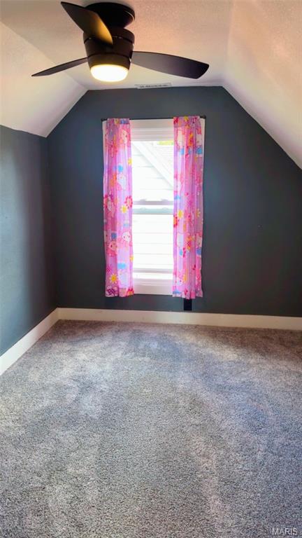 311 Albert Street Fredericktown, MO 63645 - Photo 16 of 29