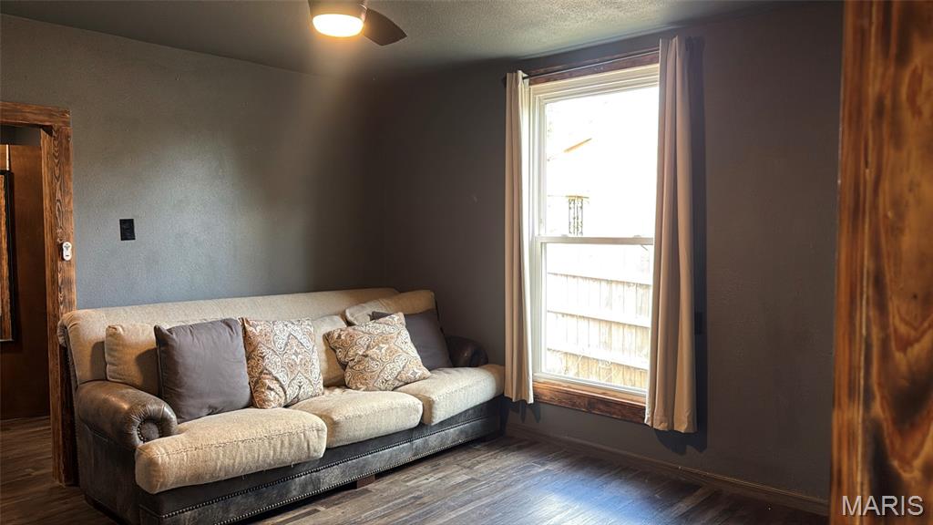 311 Albert Street Fredericktown, MO 63645 - Photo 19 of 29