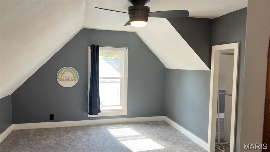 311 Albert Street Fredericktown, MO 63645 - Photo 20 of 29