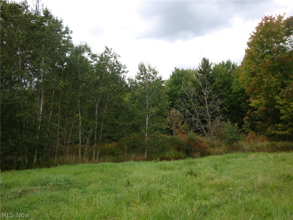 2237 Allen-Comp Road Dorset, OH 44032 - Photo 9 of 17 Gallery Image 9