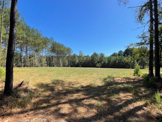 6 Grooms Road Cross, SC 29436 - Photo 2 of 8 IMG_8216