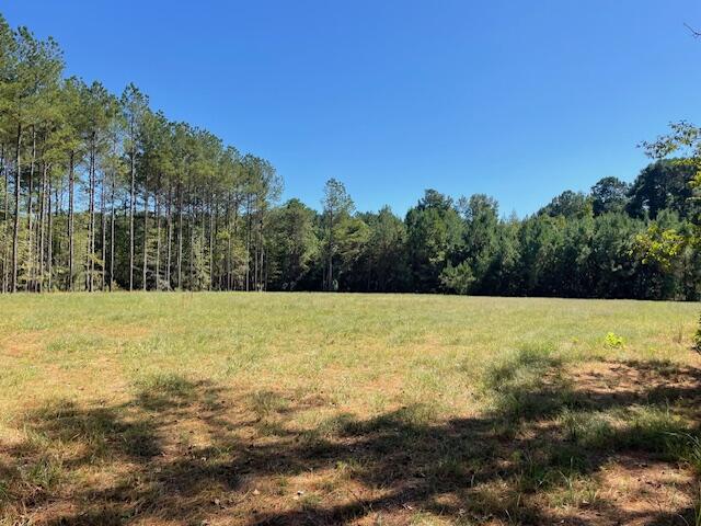 6 Grooms Road Cross, SC 29436 - Photo 3 of 8 IMG_8217