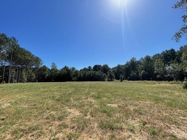 6 Grooms Road Cross, SC 29436 - Photo 4 of 8 IMG_8219