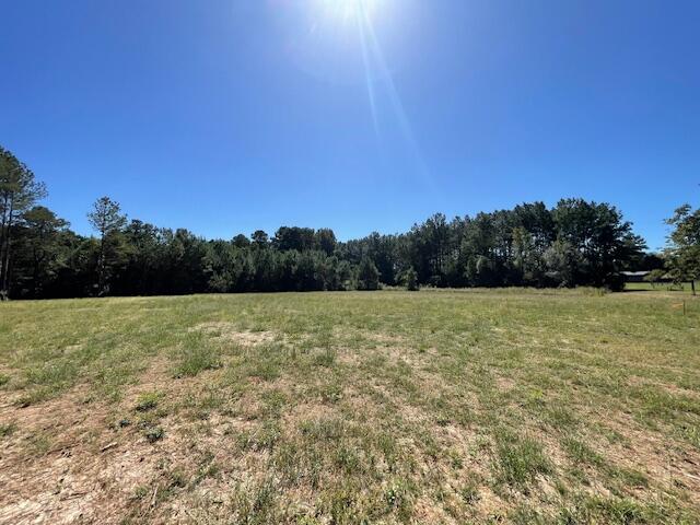 6 Grooms Road Cross, SC 29436 - Photo 5 of 8 IMG_8220