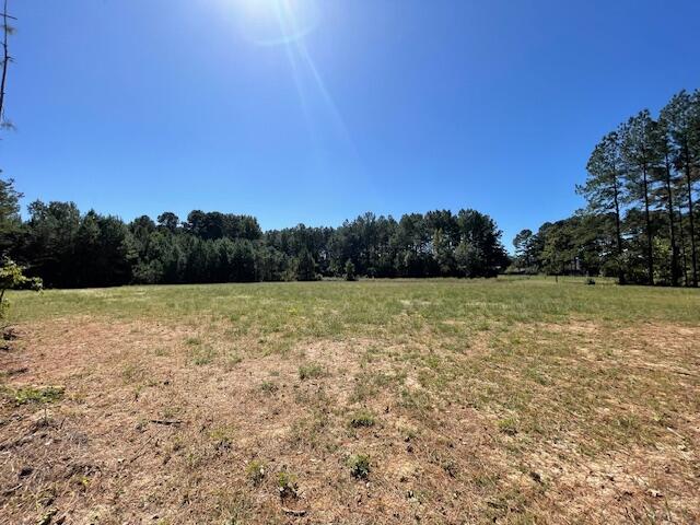 6 Grooms Road Cross, SC 29436 - Photo 6 of 8 IMG_8222