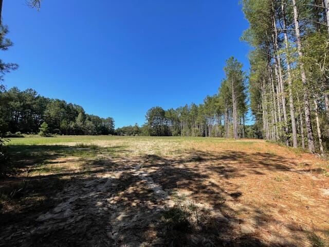 6 Grooms Road Cross, SC 29436 - Photo 7 of 8 IMG_8223