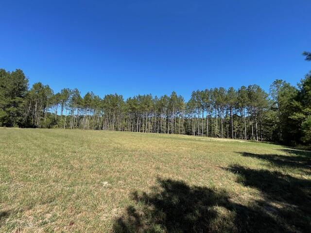 6 Grooms Road Cross, SC 29436 - Photo 8 of 8 IMG_8224