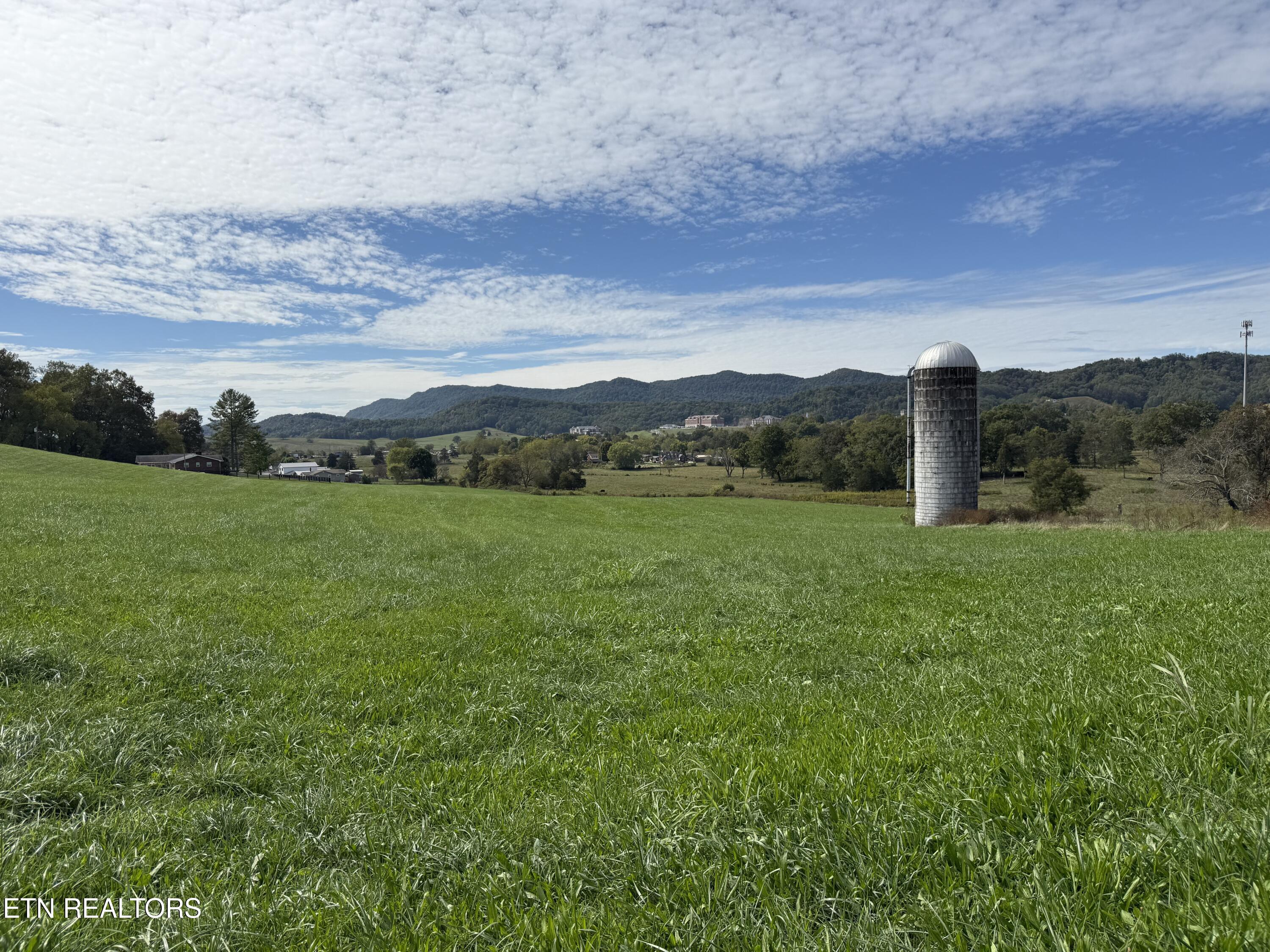 Tower Street Harrogate, TN 37752 - Photo 14 of 45 IMG_1975
