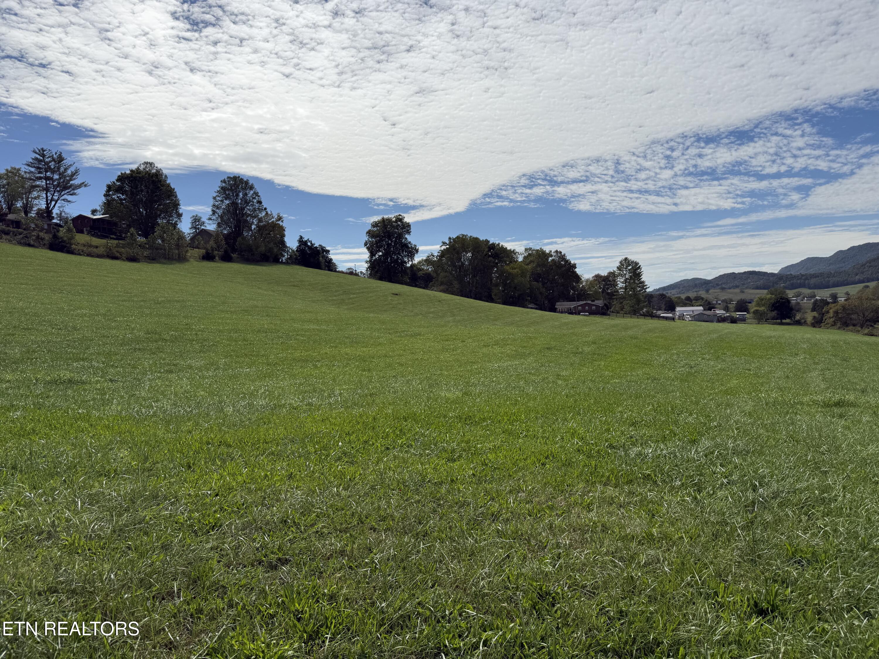 Tower Street Harrogate, TN 37752 - Photo 18 of 45 IMG_1979