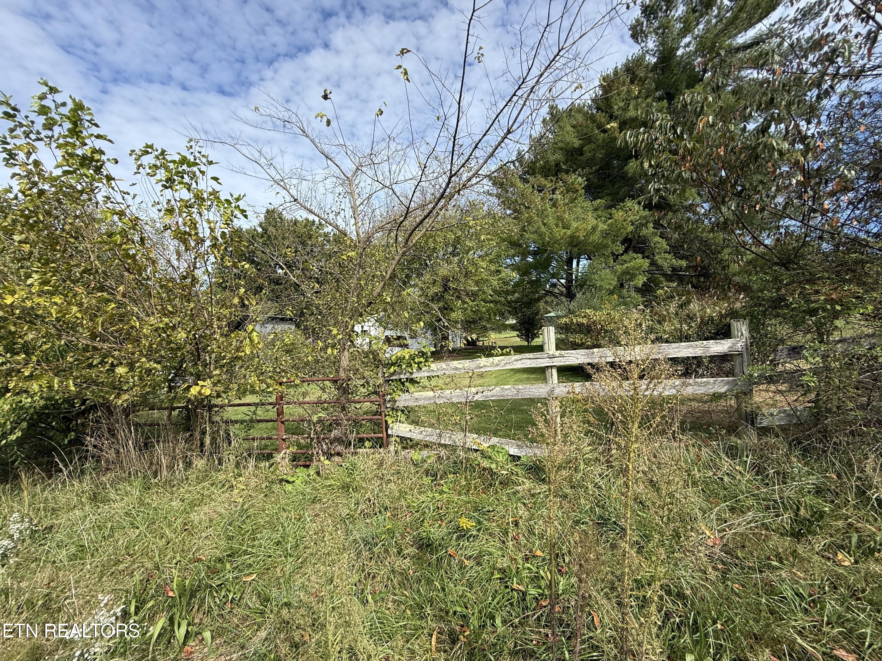 Tower Street Harrogate, TN 37752 - Photo 20 of 45 IMG_1982