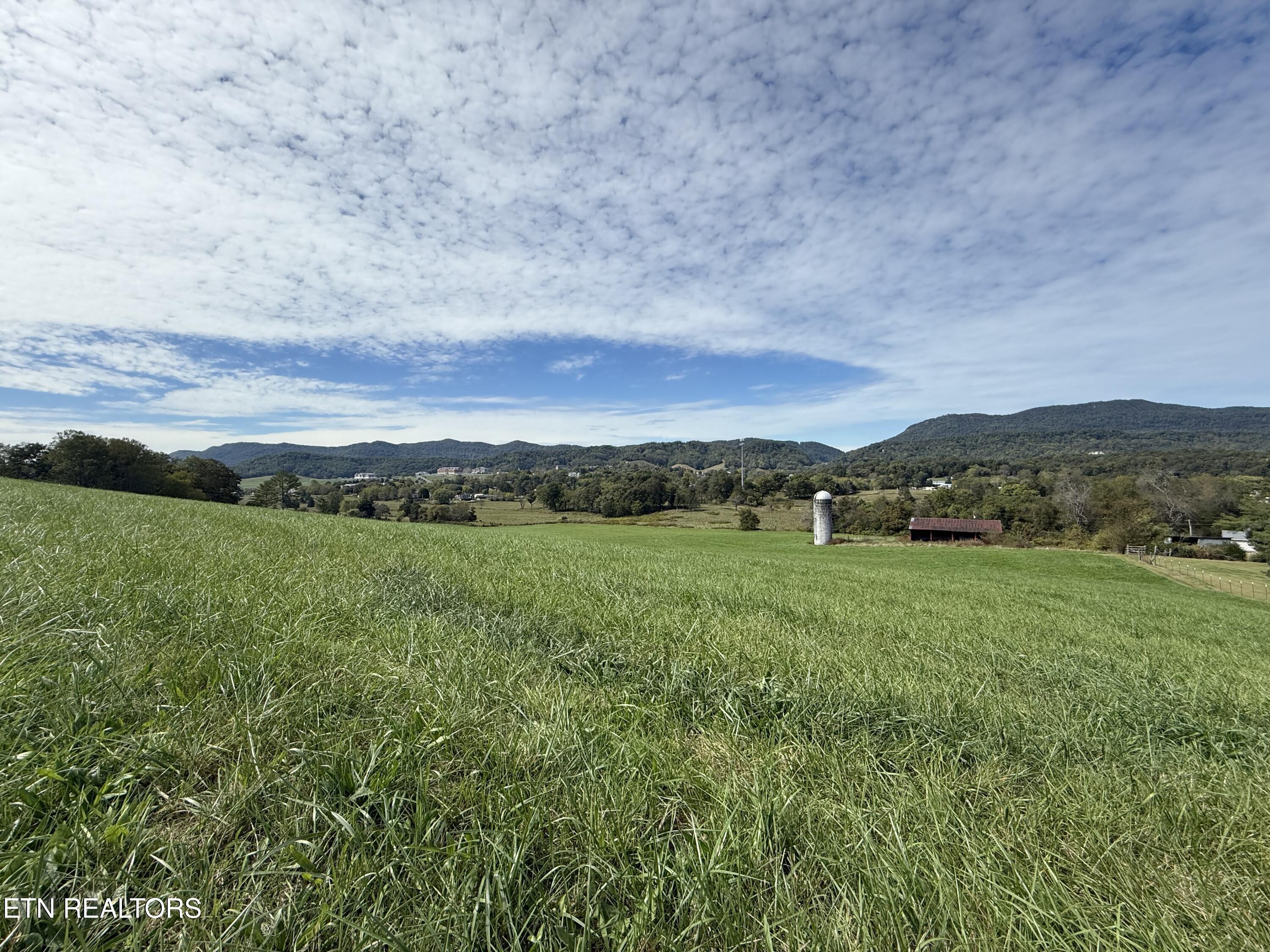 Tower Street Harrogate, TN 37752 - Photo 3 of 45 IMG_1963