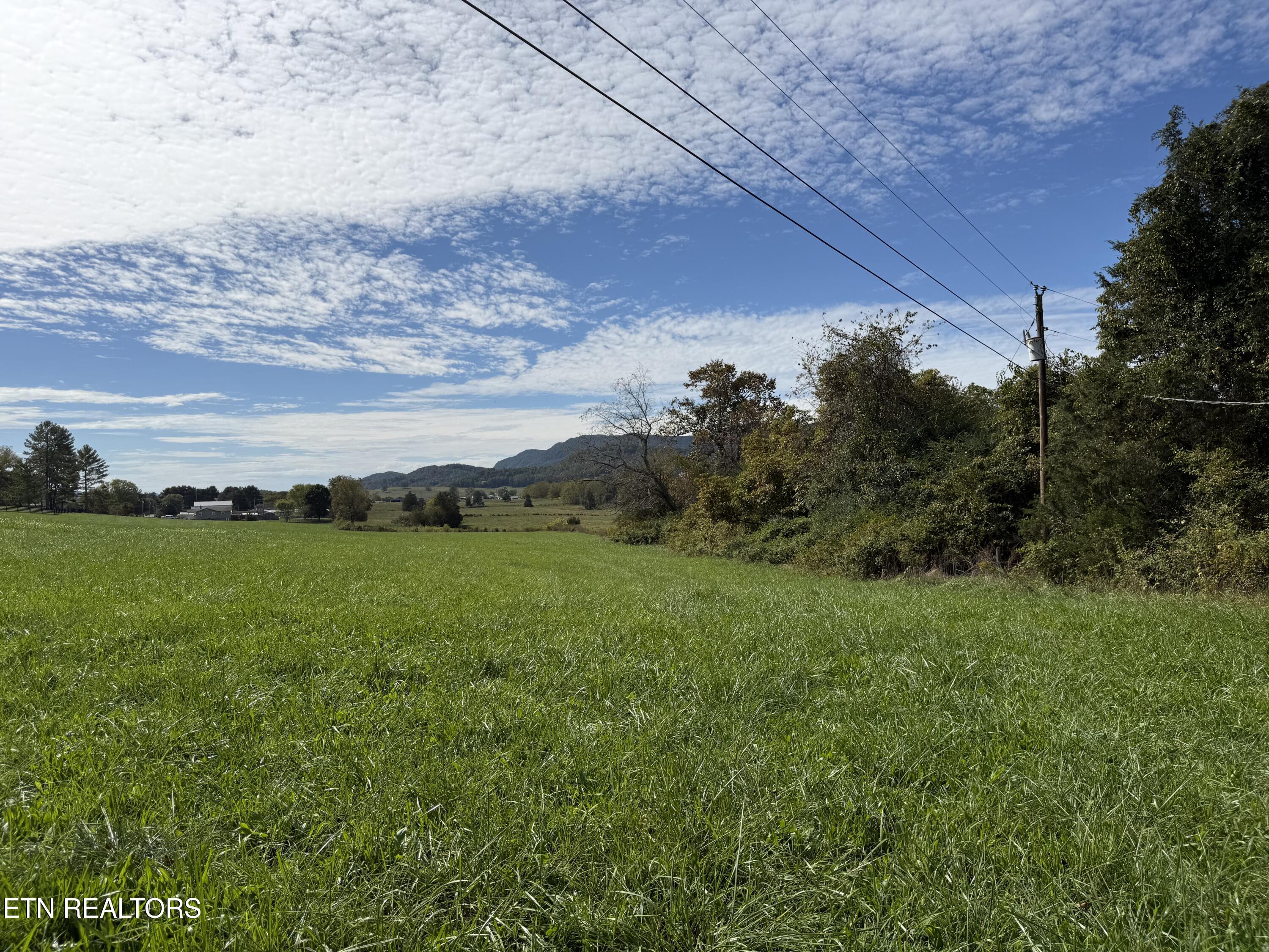 Tower Street Harrogate, TN 37752 - Photo 32 of 45 IMG_1991