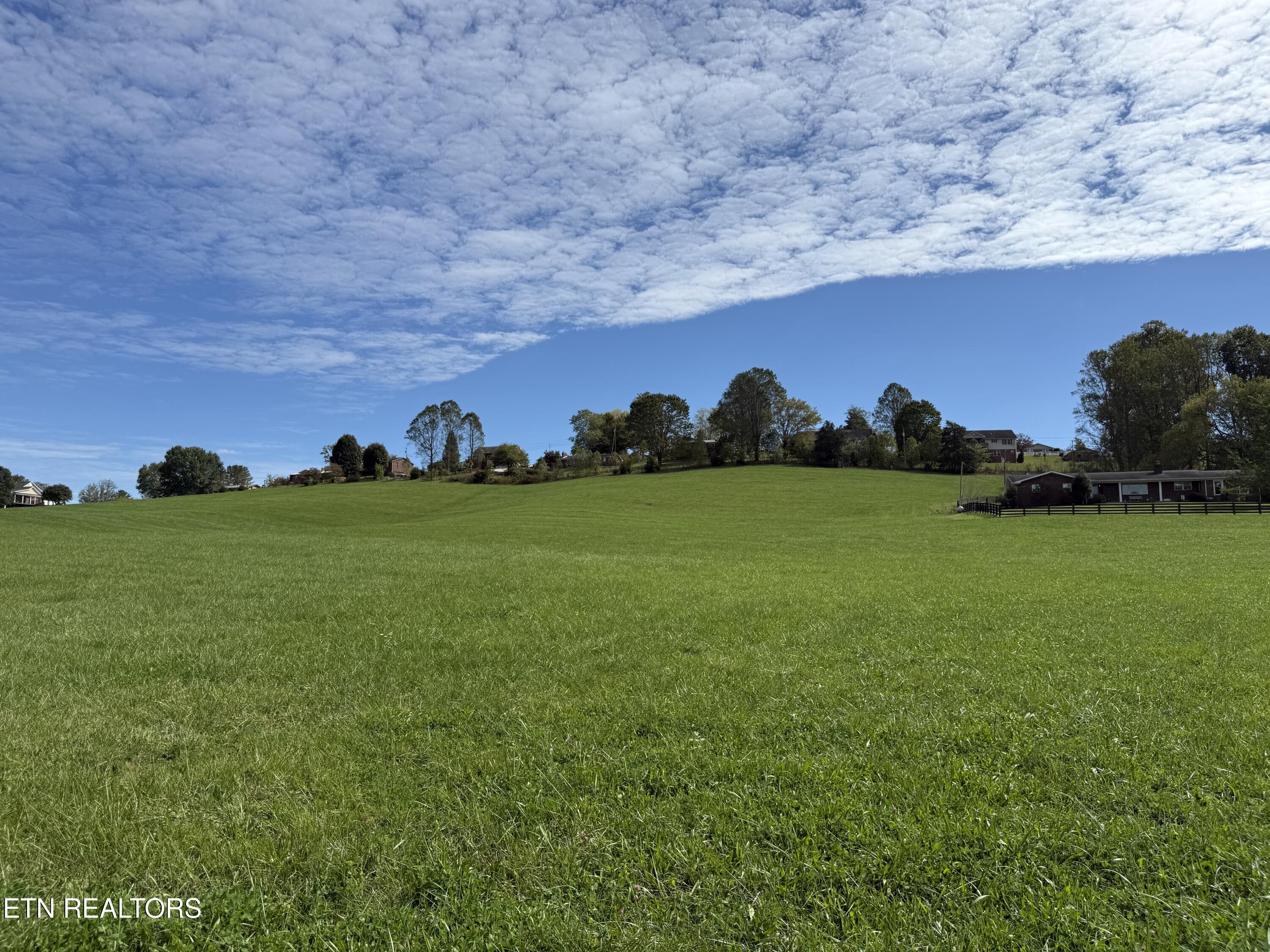 Tower Street Harrogate, TN 37752 - Photo 36 of 45 IMG_1996